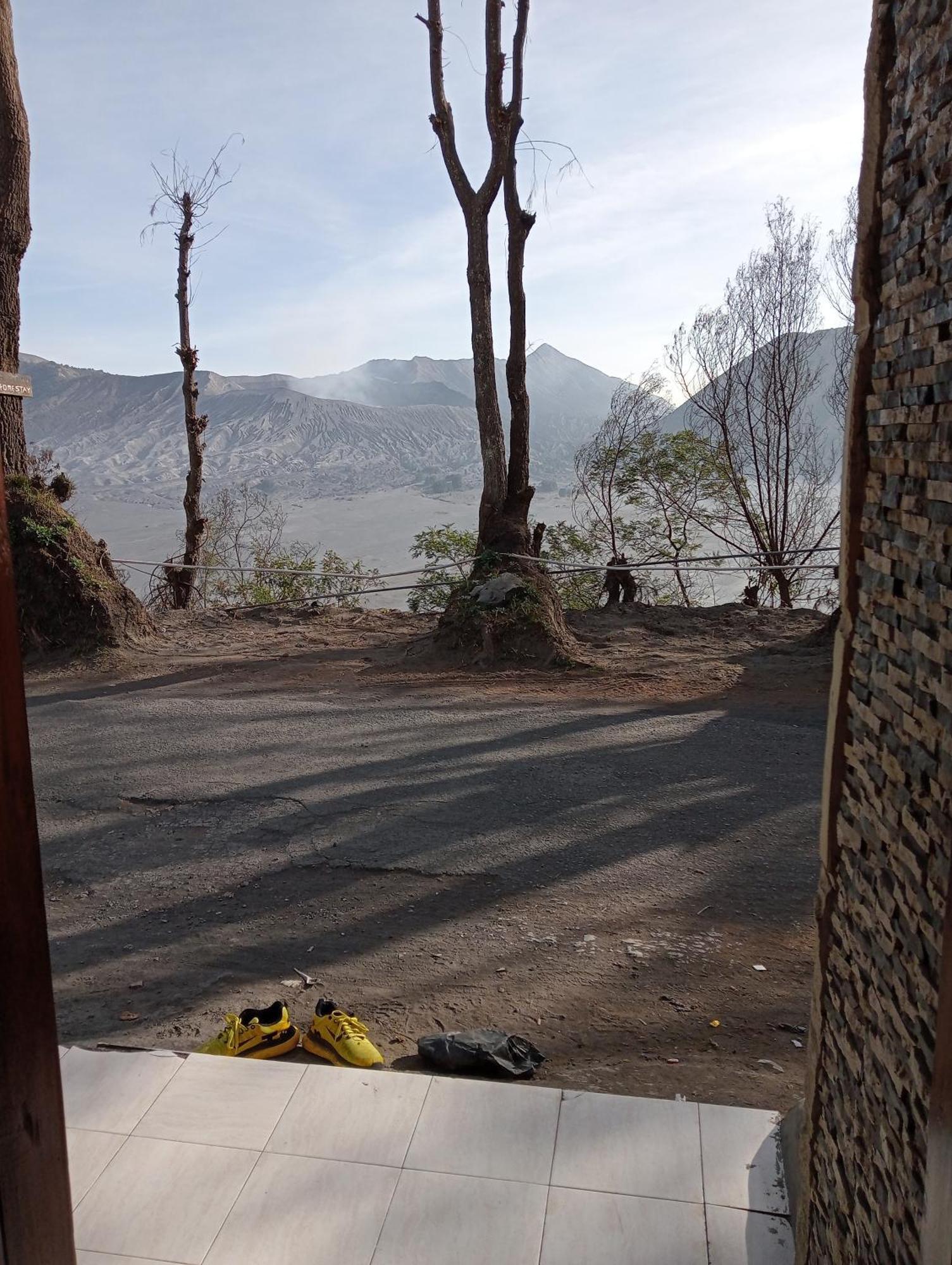 Mentigen Homestay Ngadisari Exteriör bild