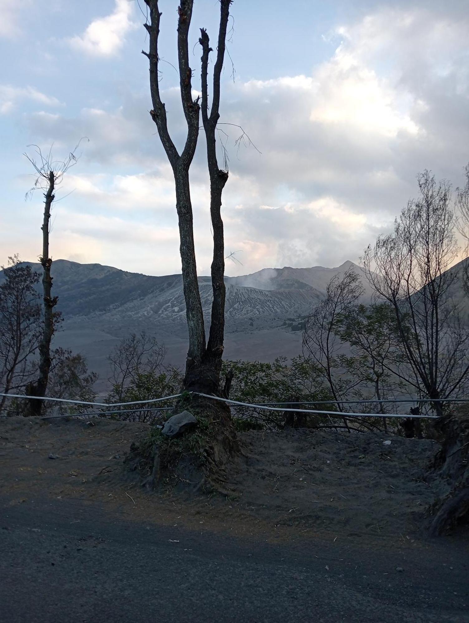 Mentigen Homestay Ngadisari Exteriör bild