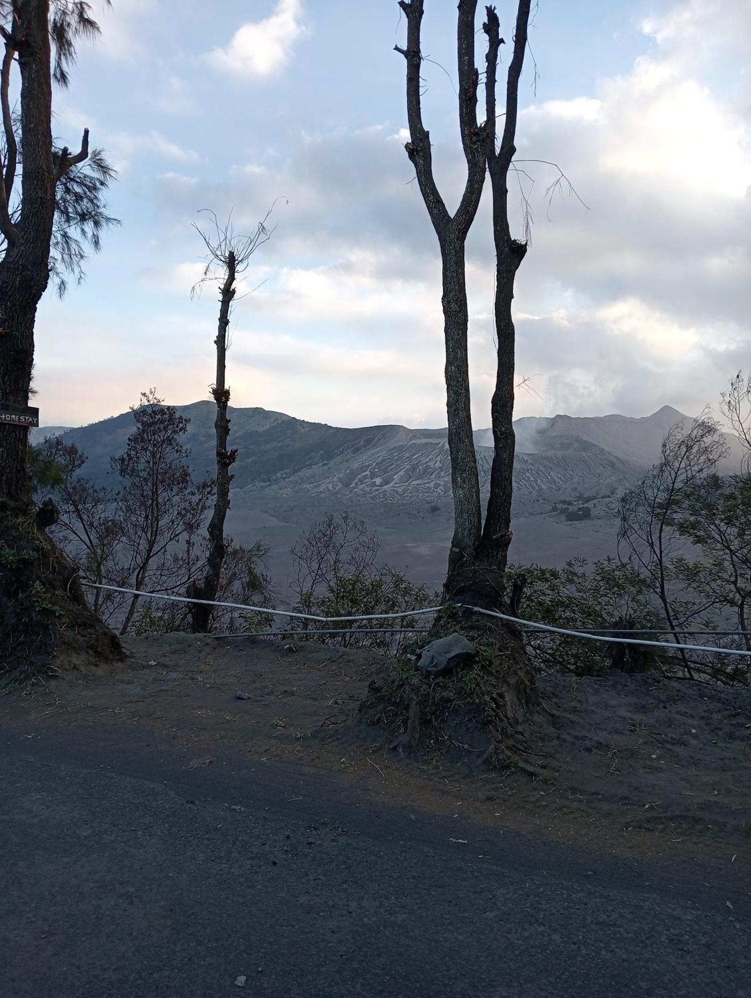 Mentigen Homestay Ngadisari Rum bild