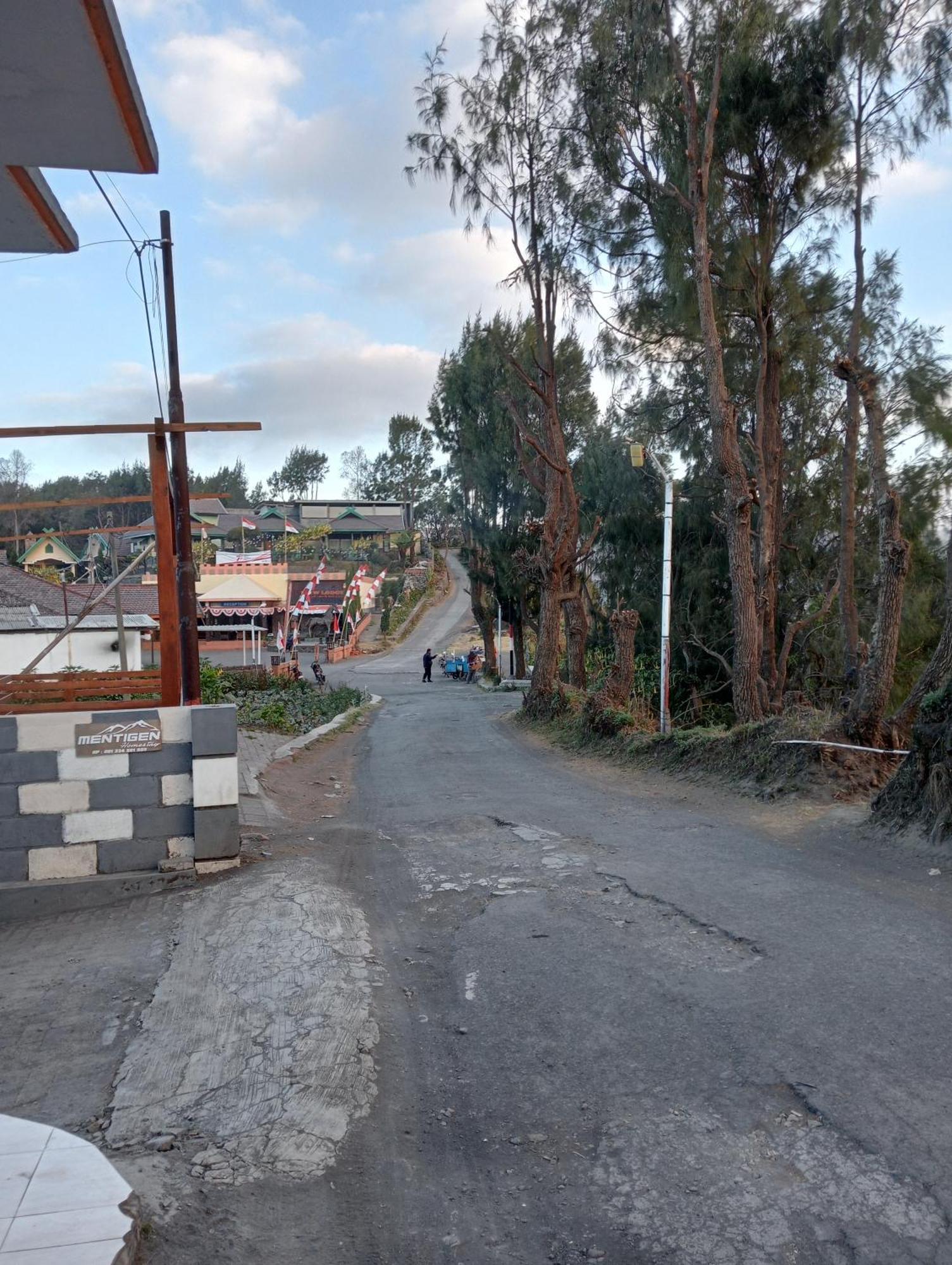 Mentigen Homestay Ngadisari Rum bild
